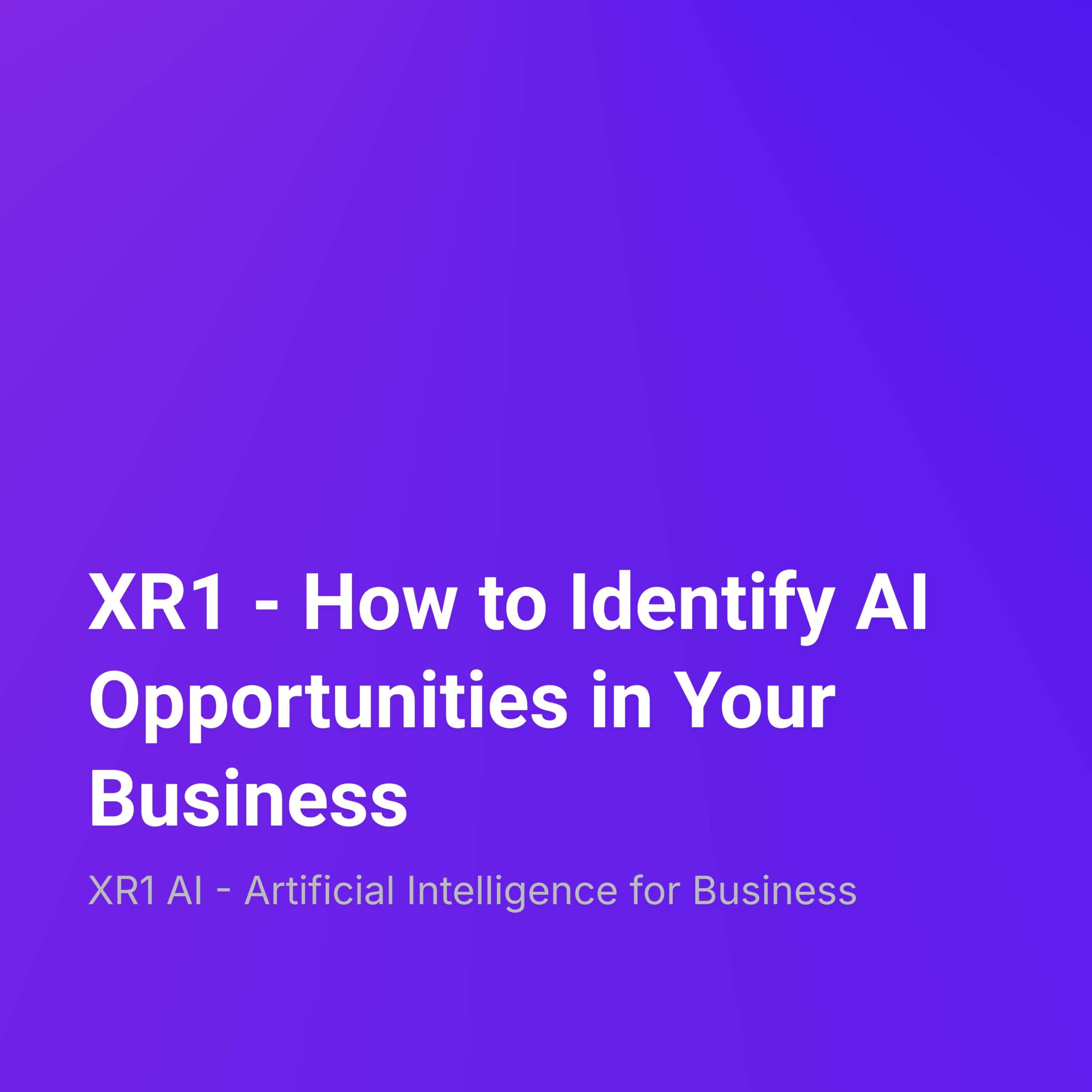 XR1 – How to Identify AI Opportunities in Your Business