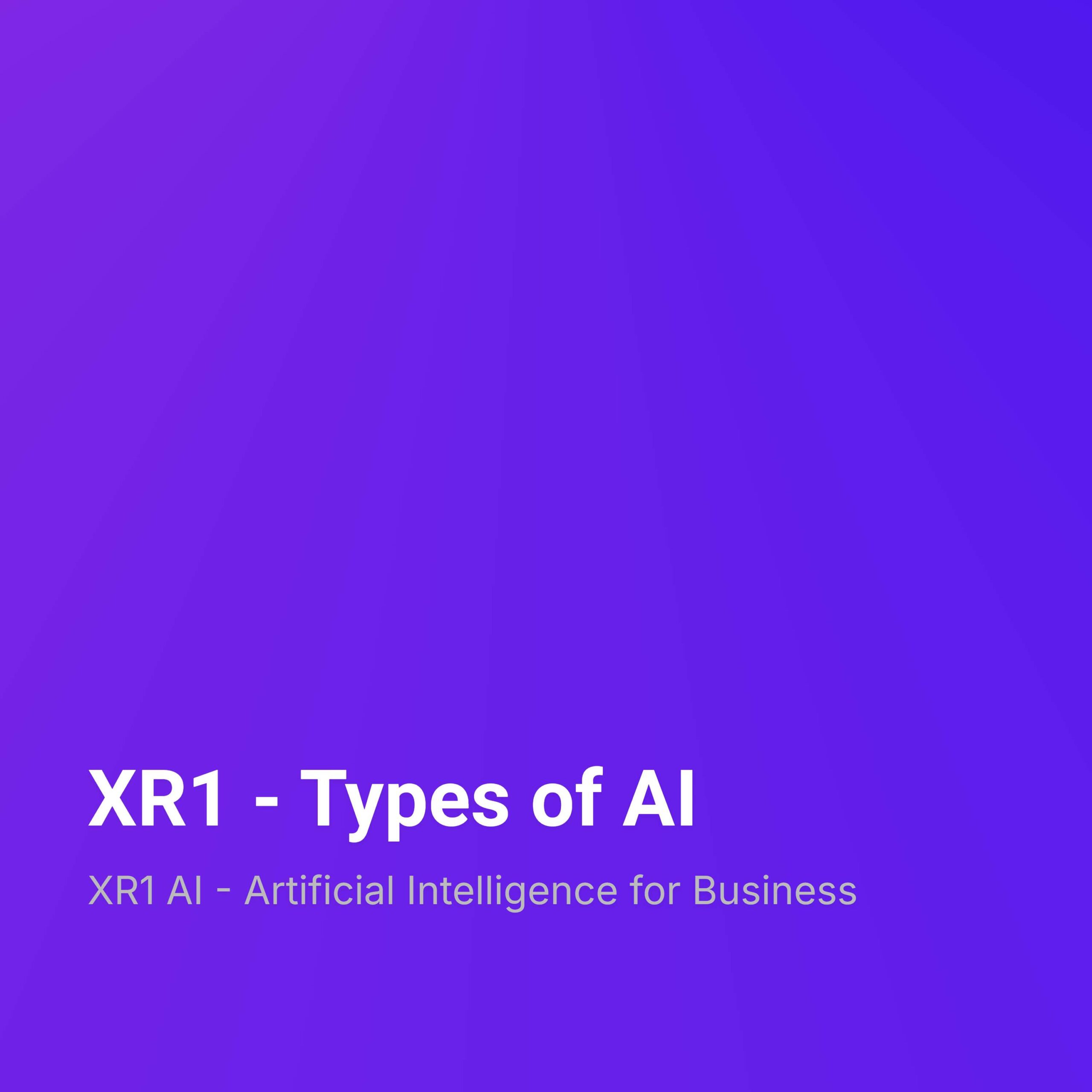 XR1 – Types of AI